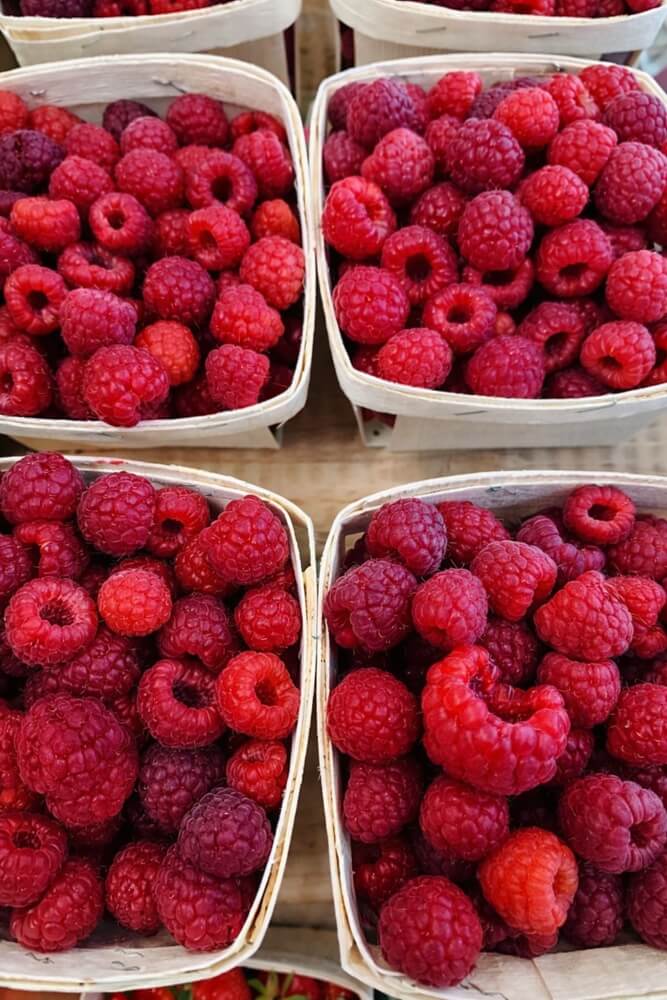 Fresh raspberries in baskets at Noggins Corner Farm Market in the Annapolis Valley, Nova Scotia